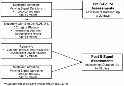 Neurorestoration of Sustained Attention in a Model of HIV-1 Associated Neurocognitive Disorders